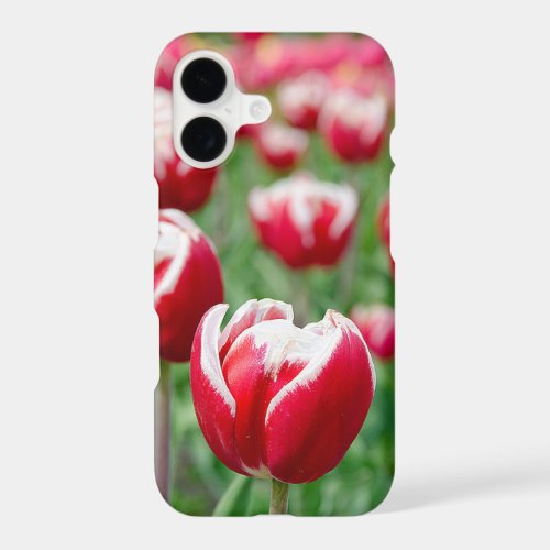 Red Dutch Tulip Garden iPhone 17 Case