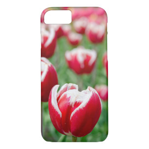 red Dutch tulips iPhone 8/7 Case