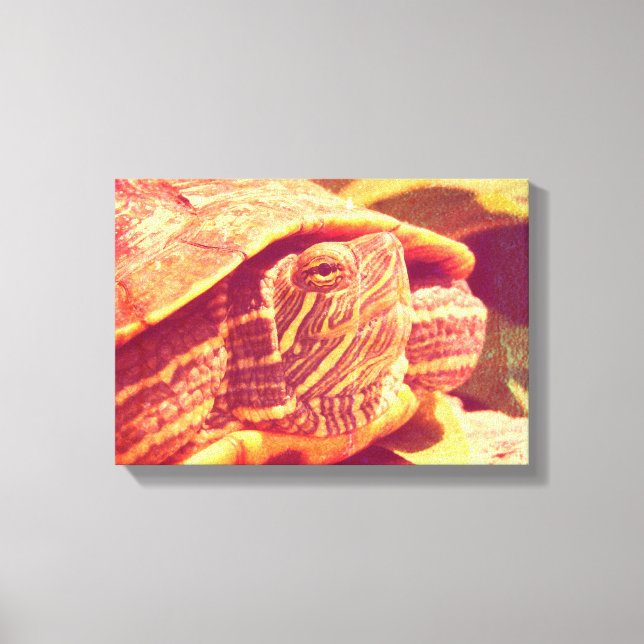 Red Ear Slider Turtle Canvas Print (Front)