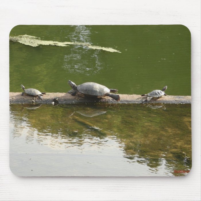 red ear sliders mouse pad