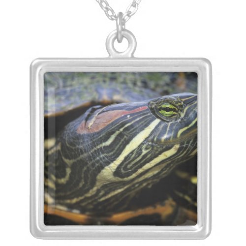 Red_eared Slider Trachemys scripta elegans 2 Silver Plated Necklace