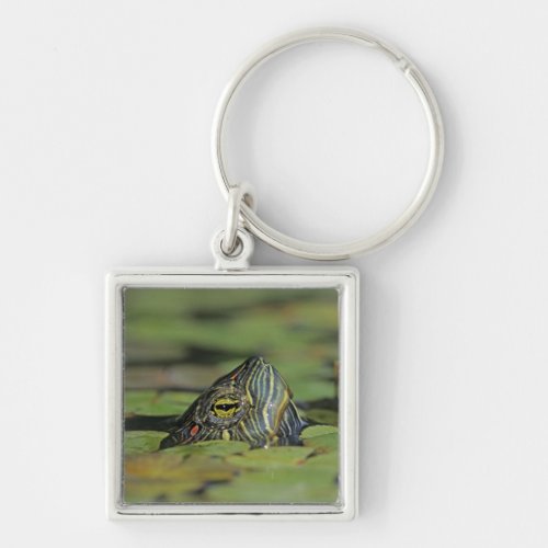 Red_eared Slider Trachemys scripta elegans Keychain