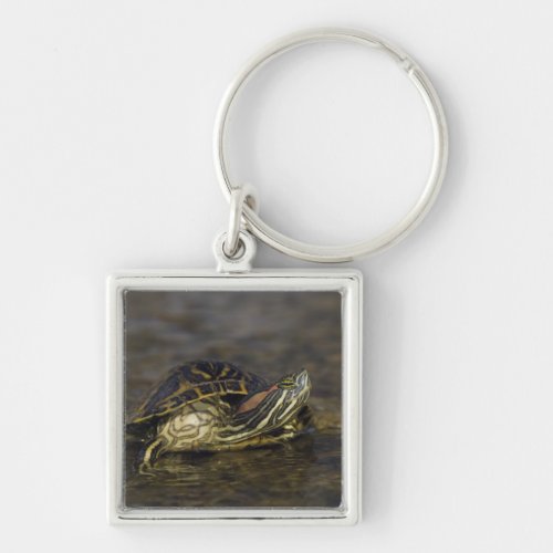 Red_eared Slider Trachemys scripta elegans Keychain