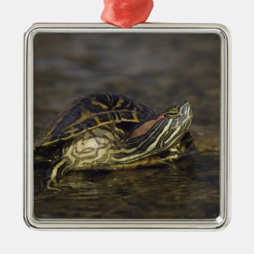 Red_eared Slider Trachemys scripta elegans Metal Ornament