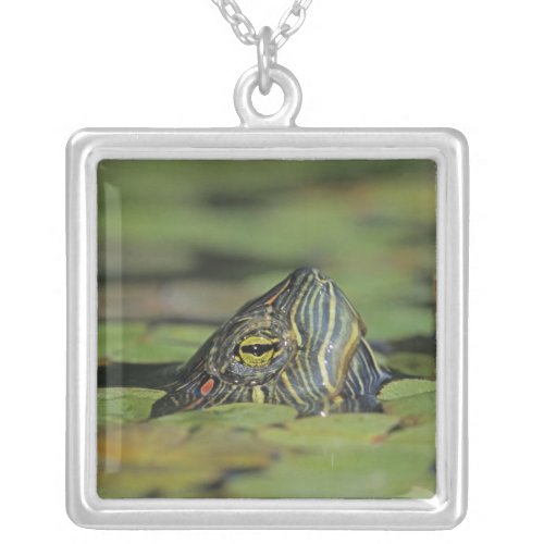 Red_eared Slider Trachemys scripta elegans Silver Plated Necklace