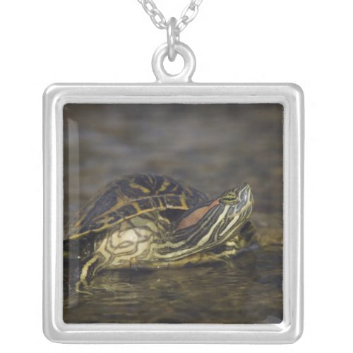 Red_eared Slider Trachemys scripta elegans Silver Plated Necklace