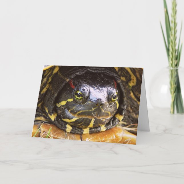 Red Eared Slider Turtle Head Card (Front)