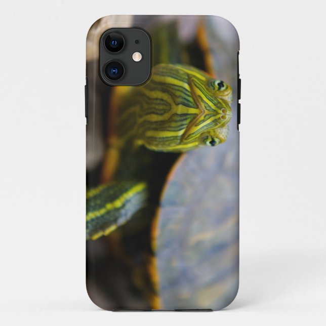 Red-eared Slider Turtle Head-on View Case-Mate iPhone Case (Back)