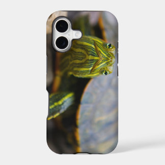 Red-eared Slider Turtle Head-on View iPhone 17 Case