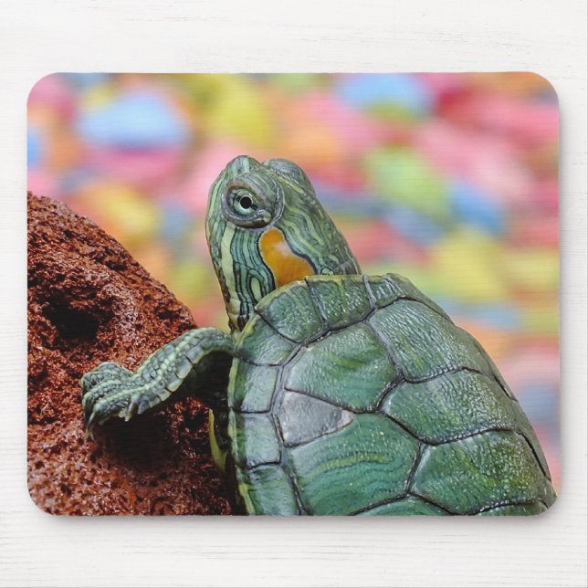 Red-eared slider turtle mouse pad (Front)