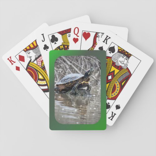 Red_eared Slider Turtle Playing Cards