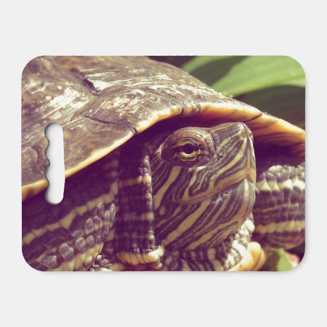 Red Eared Slider Turtle Seat Cushion (Front Horizontal)