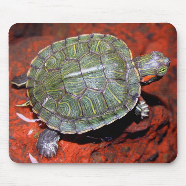 Red-eared Turtle Mouse Pad (Front)