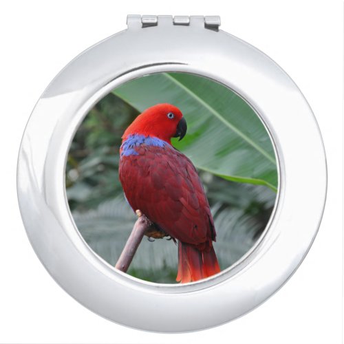 Red eclectic parrot compact mirror