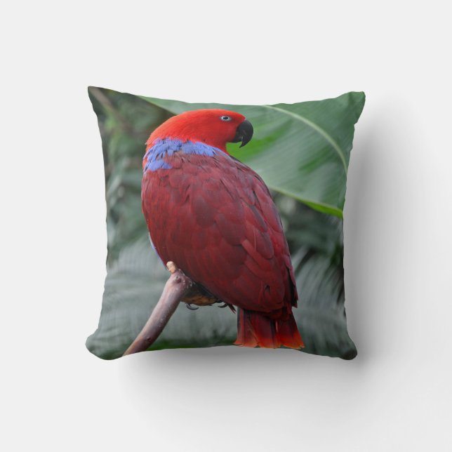 Red eclectic parrot throw pillow (Front)