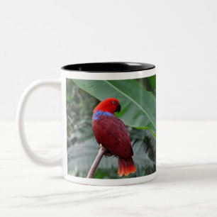 Red eclectic parrot Two-Tone coffee mug