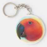 Eclectus Parrot Realistic Painting Keychain