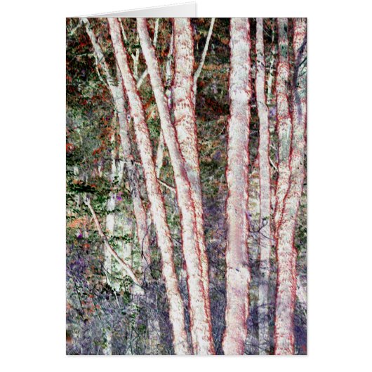 Red-Edged Trees Cards (Front)