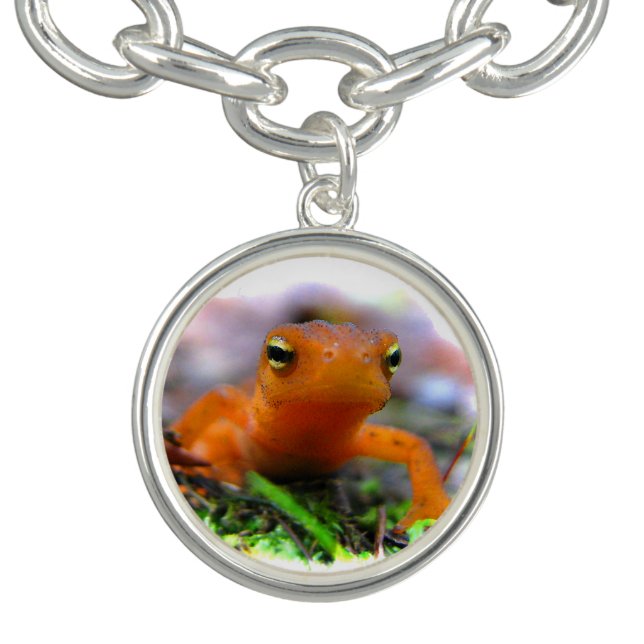 Red Eft Charm Bracelet (Design)