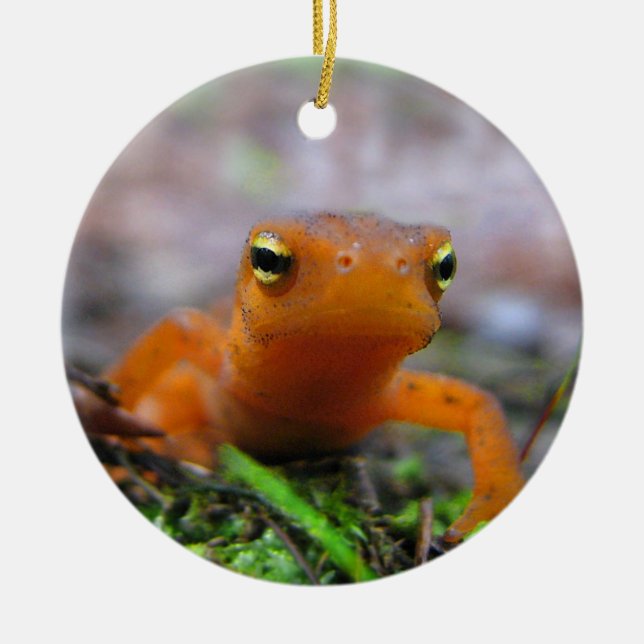 Red Eft Christmas Ornament (Front)