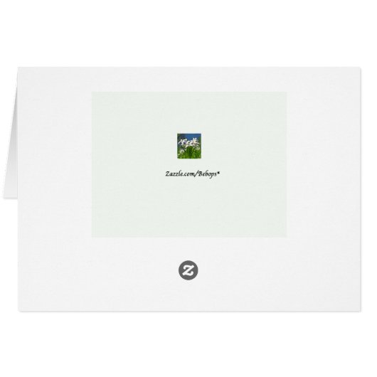 Red Eft Earth Day (Back Horizontal)