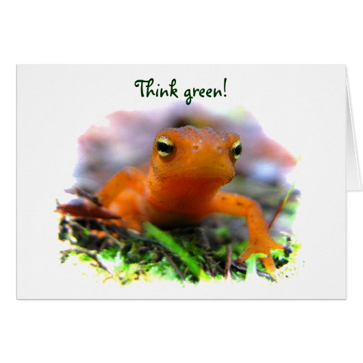 Red Eft Earth Day Cards (Front Horizontal)