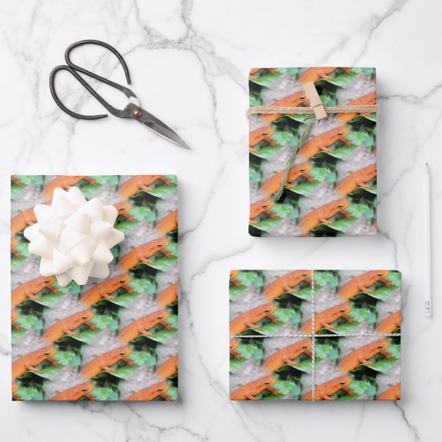 Red Eft Orange Salamander Animal Pattern  Wrapping Paper Sheets (Front)