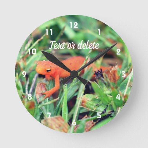 Red Eft Orange Salamander Nature 1   Round Clock