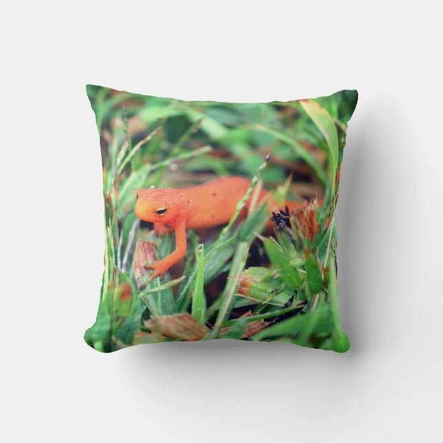 Red Eft Orange Salamander Nature 1  Throw Pillow (Front)