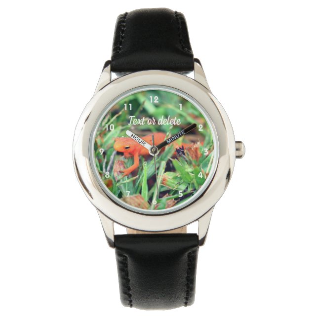 Red Eft Orange Salamander Nature 1    Watch (Front)