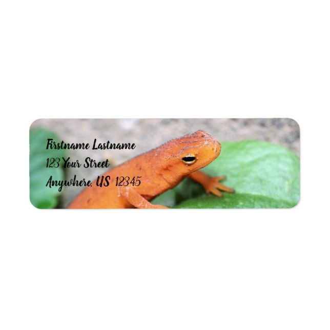 Red Eft Orange Salamander Nature #2 Address Label (Front)