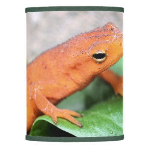 Red Eft Orange Salamander Nature Lamp Shade