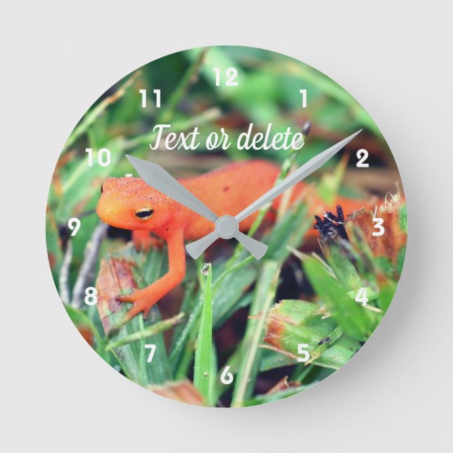 Red Eft Orange Salamander Nature Personalized Round Clock (Front)