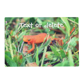 Red Eft Orange Salamander Personalized Placemat