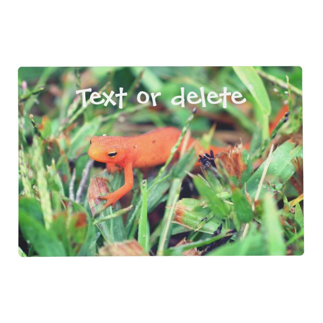Red Eft Orange Salamander Personalized Placemat (Front)