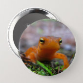 Red Eft Salamander Newt Nature Button (Front & Back)