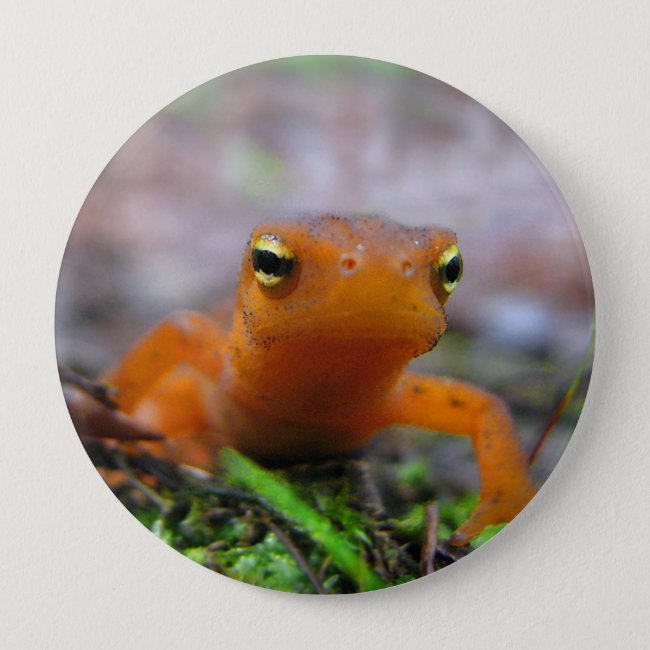 Red Eft Salamander Newt Nature Button