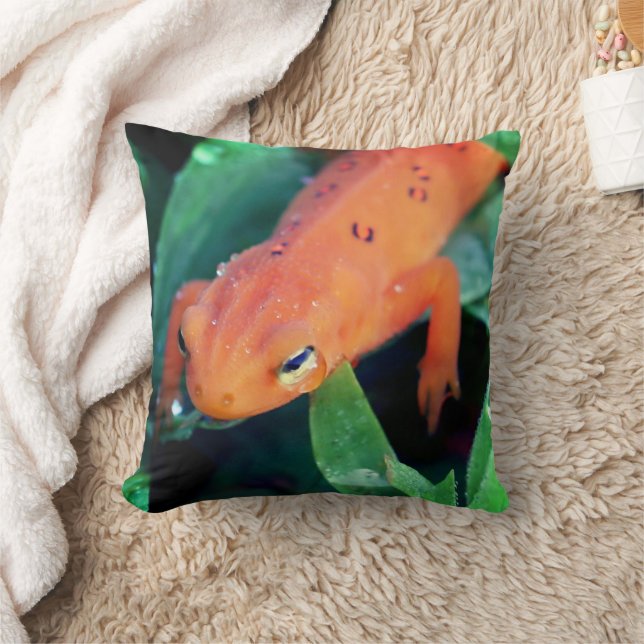 Red Eft Salamander Raindrop On Eye   Throw Pillow (Blanket)