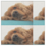 red english cocker spaniel 2.png fabric