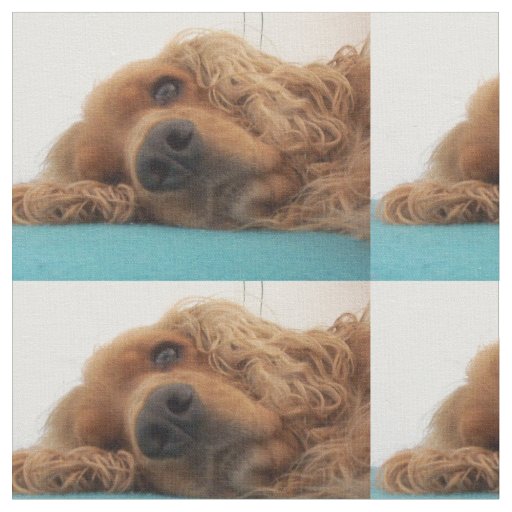 red english cocker spaniel 2.png fabric