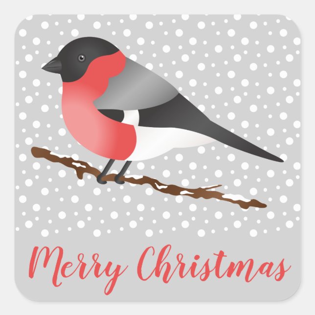 Red Eurasian Bullfinch Bird Gray Winter Christmas Square Sticker (Front)
