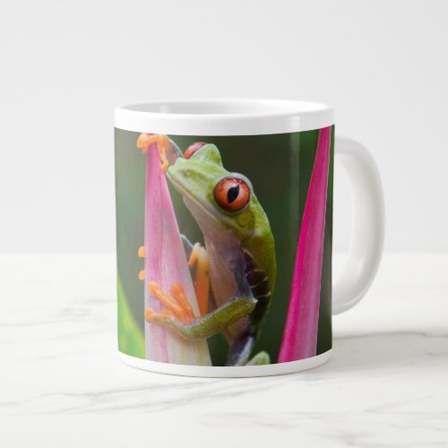 Red_eye tree frog Costa Rica 2 Large Coffee Mug