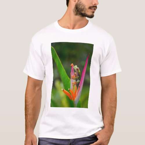 Red_eye tree frog Costa Rica 2 T_Shirt