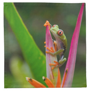 Red-eye tree frog, Costa Rica Cloth Napkin