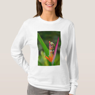 Red-eye tree frog, Costa Rica T-Shirt