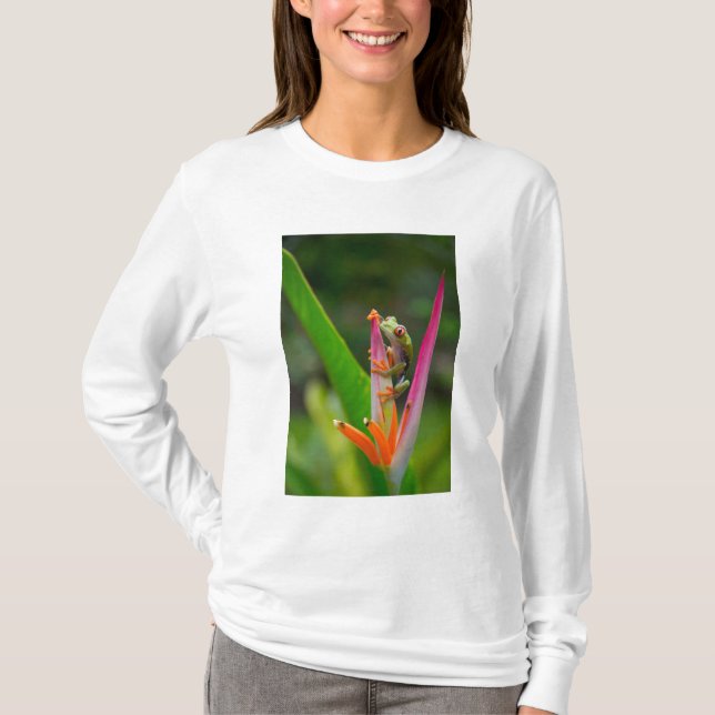 Red-eye tree frog, Costa Rica T-Shirt (Front)