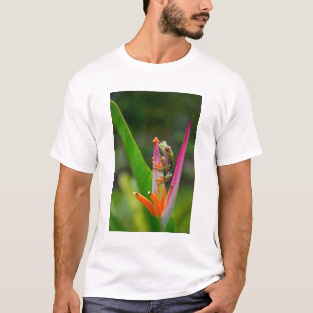 Red-eye tree frog, Costa Rica T-Shirt (Front)