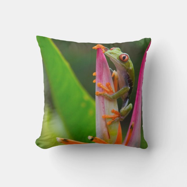 Red-eye tree frog, Costa Rica Throw Pillow (Front)