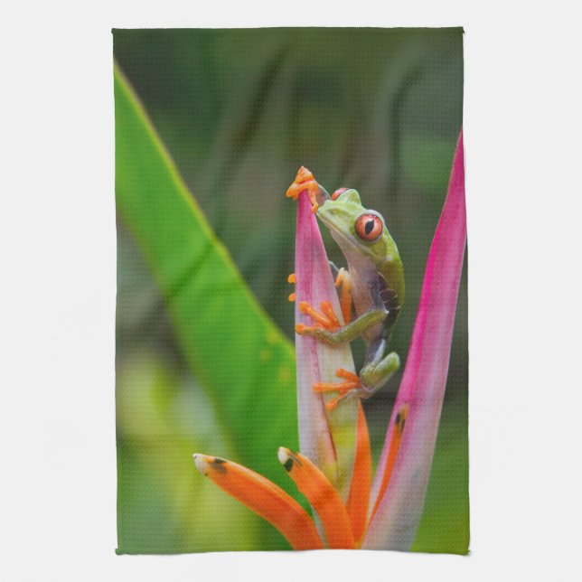Red-eye tree frog, Costa Rica Towel (Vertical)