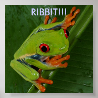 Red-Eye-Tree-Frog, RIBBIT!!! Poster